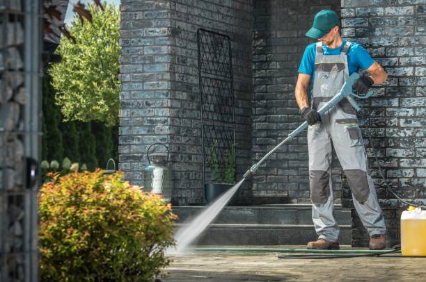 Best Driveway Cleaning and Restoration in , LA